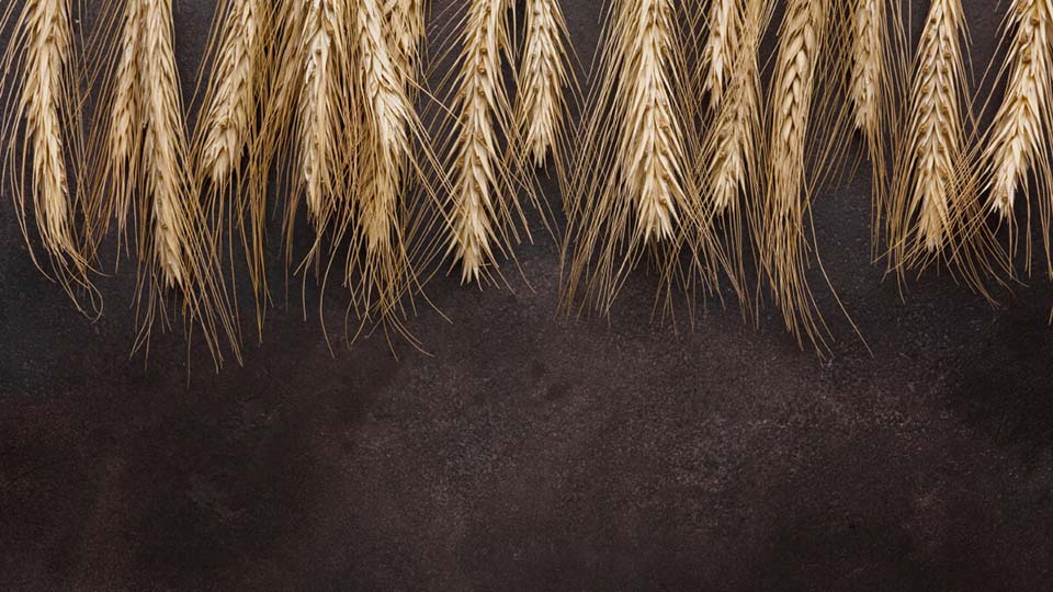 allergia al frumento o grano: conosce dove si può nascondere questo alimento