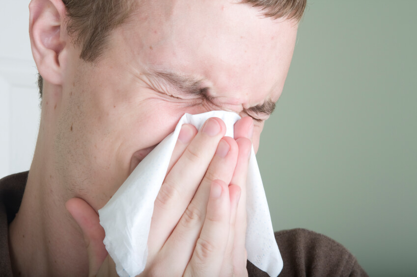 Le allergie respiratorie causano la rinite allergica