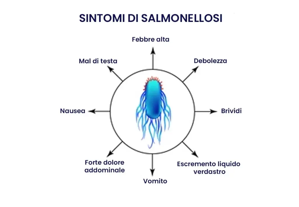 SINTOMI DI SALMONELLOSI