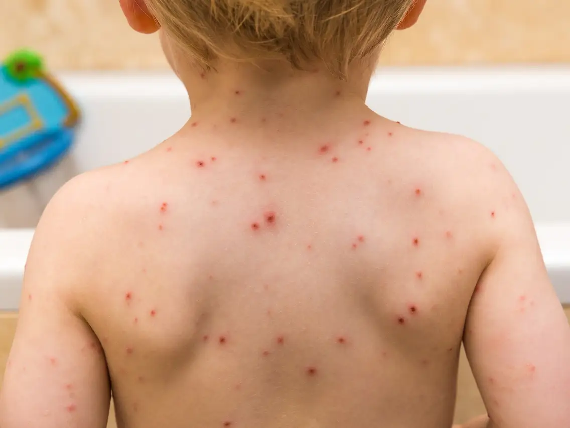 Il linguaggio del corpo, image size:1136x852