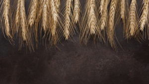 allergia al frumento o grano: conosce dove si può nascondere questo alimento