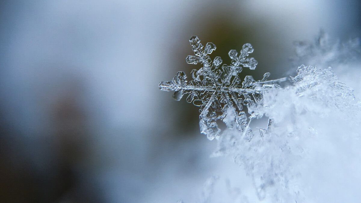 NON è IL FREDDO CHE CI FA AMMALARE