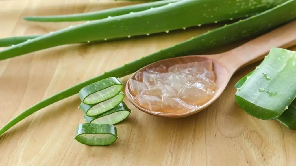 l'aloe vera è un rimedio naturale per le verruche