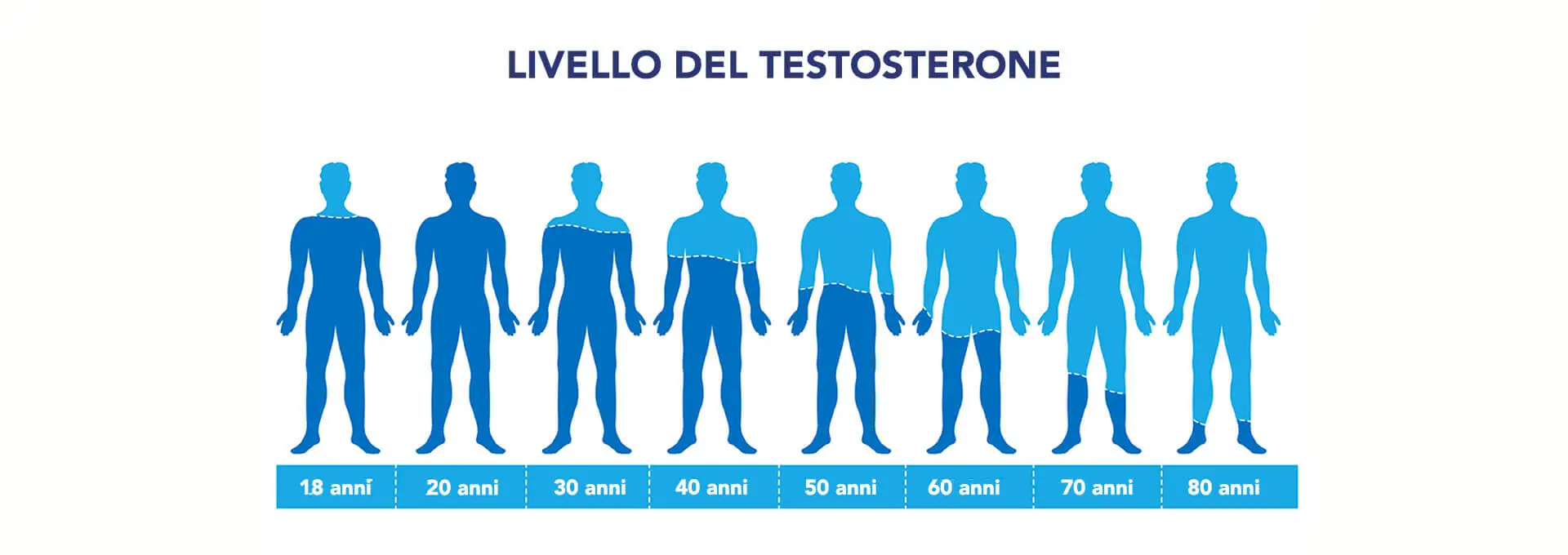 andropausa testosterone