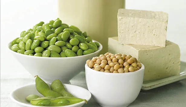 Tofu ed emanane sono tra le principali fonti di proteine vegetali