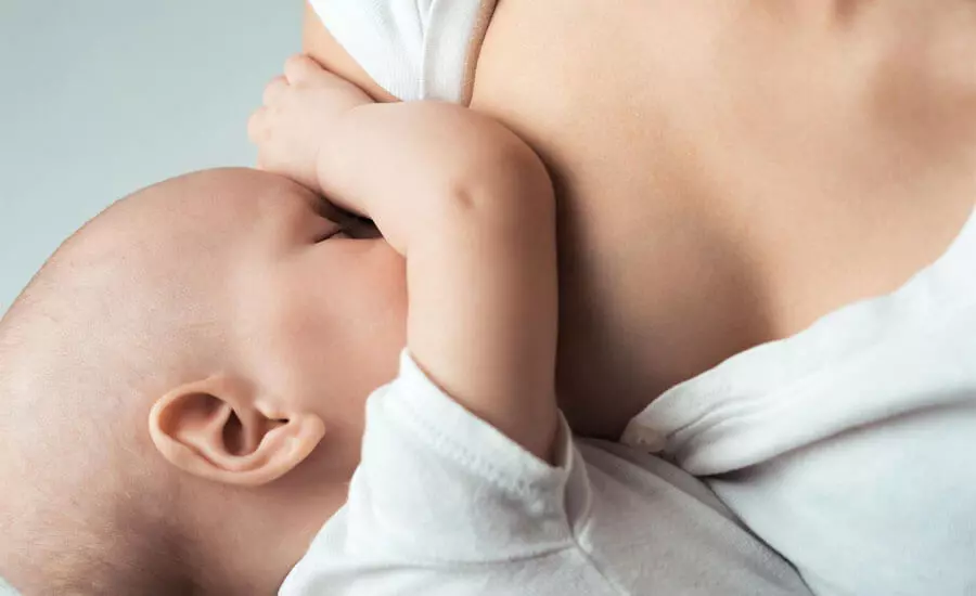 l'allattamento al seno può essere una causa di assenza di mestruazioni