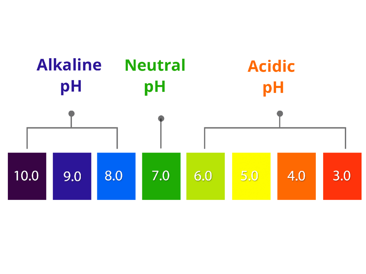 bere acqua: gradi di PH