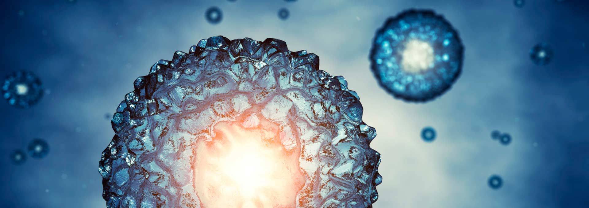 terapie supporto oncologia